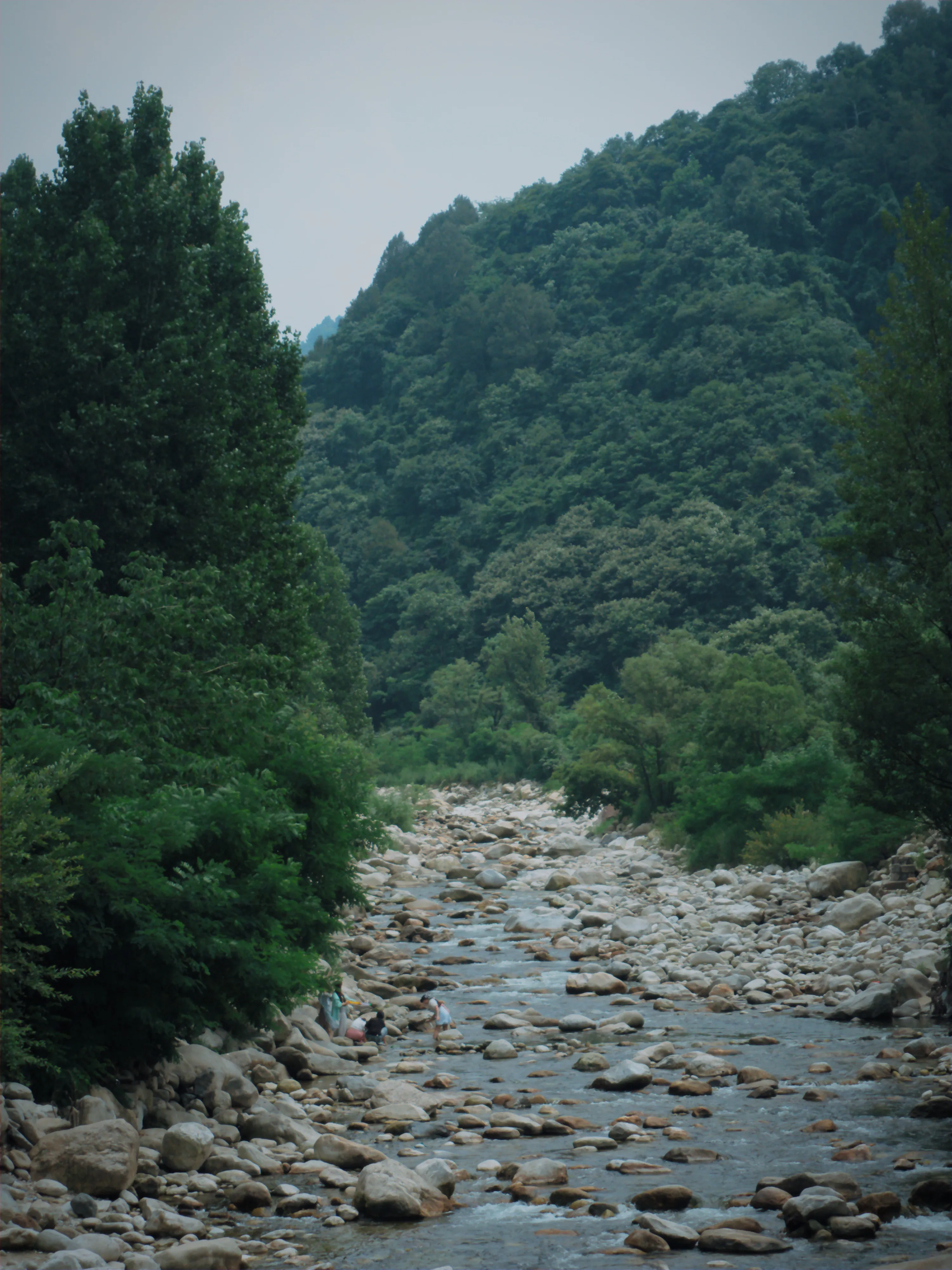 风景胶片