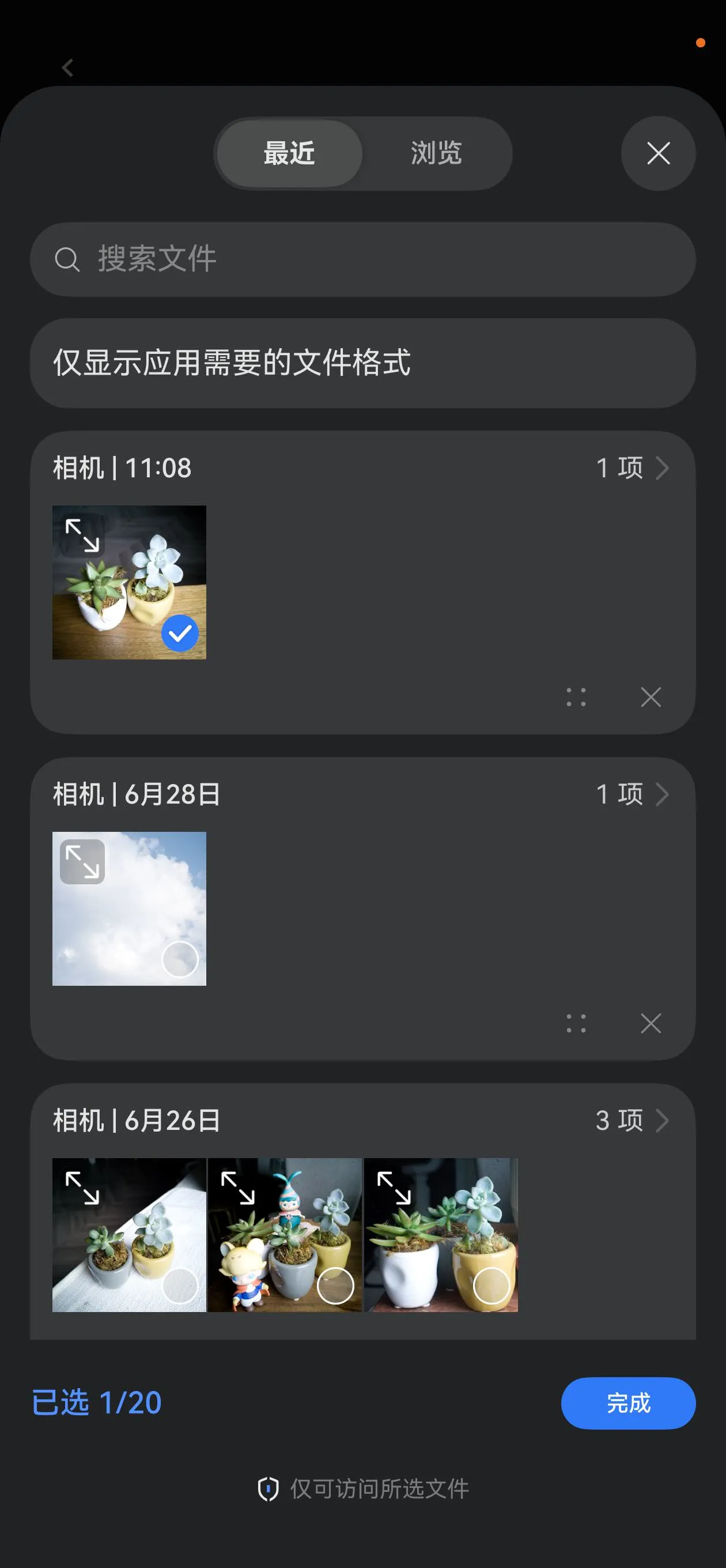 选择 DNG